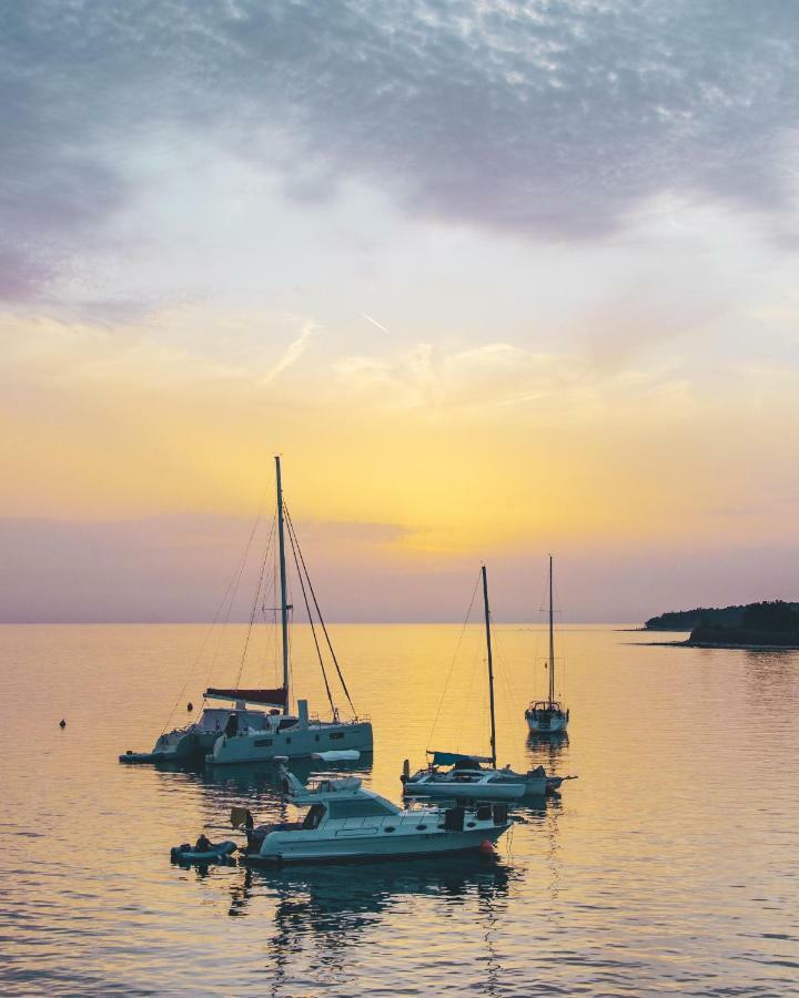 Novigrad Istria City Center Coastal Escape - Apartments With Sea View Or Cozy Room מראה חיצוני תמונה